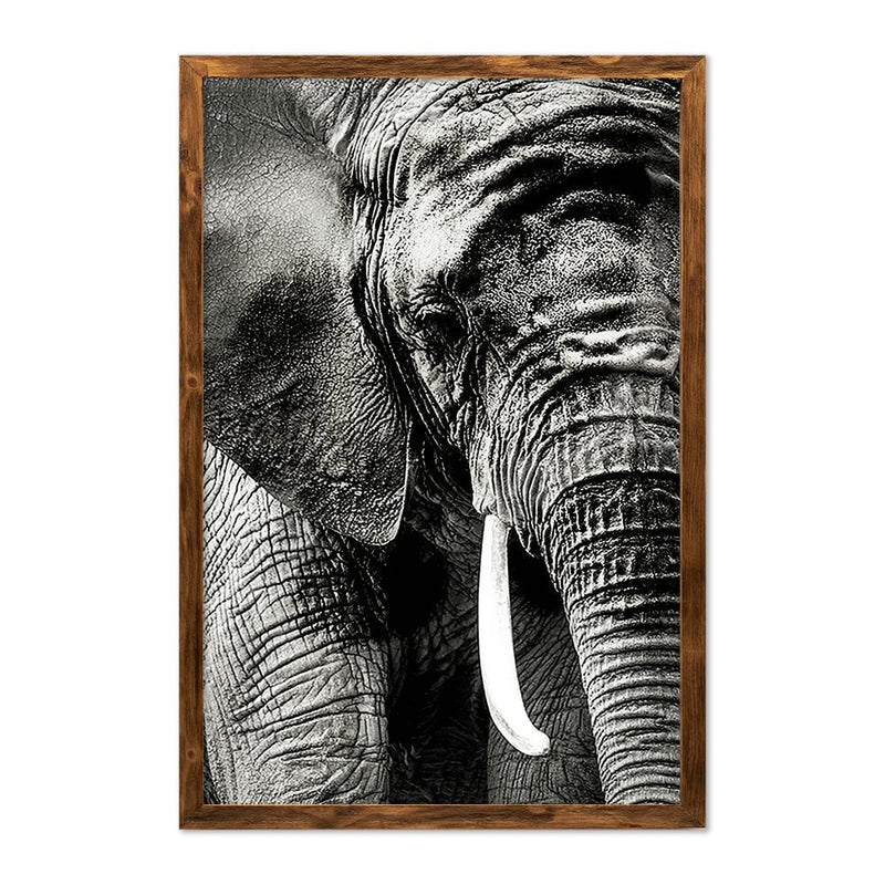 ELEPHANT PORTRAIT