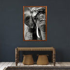 ELEPHANT PORTRAIT