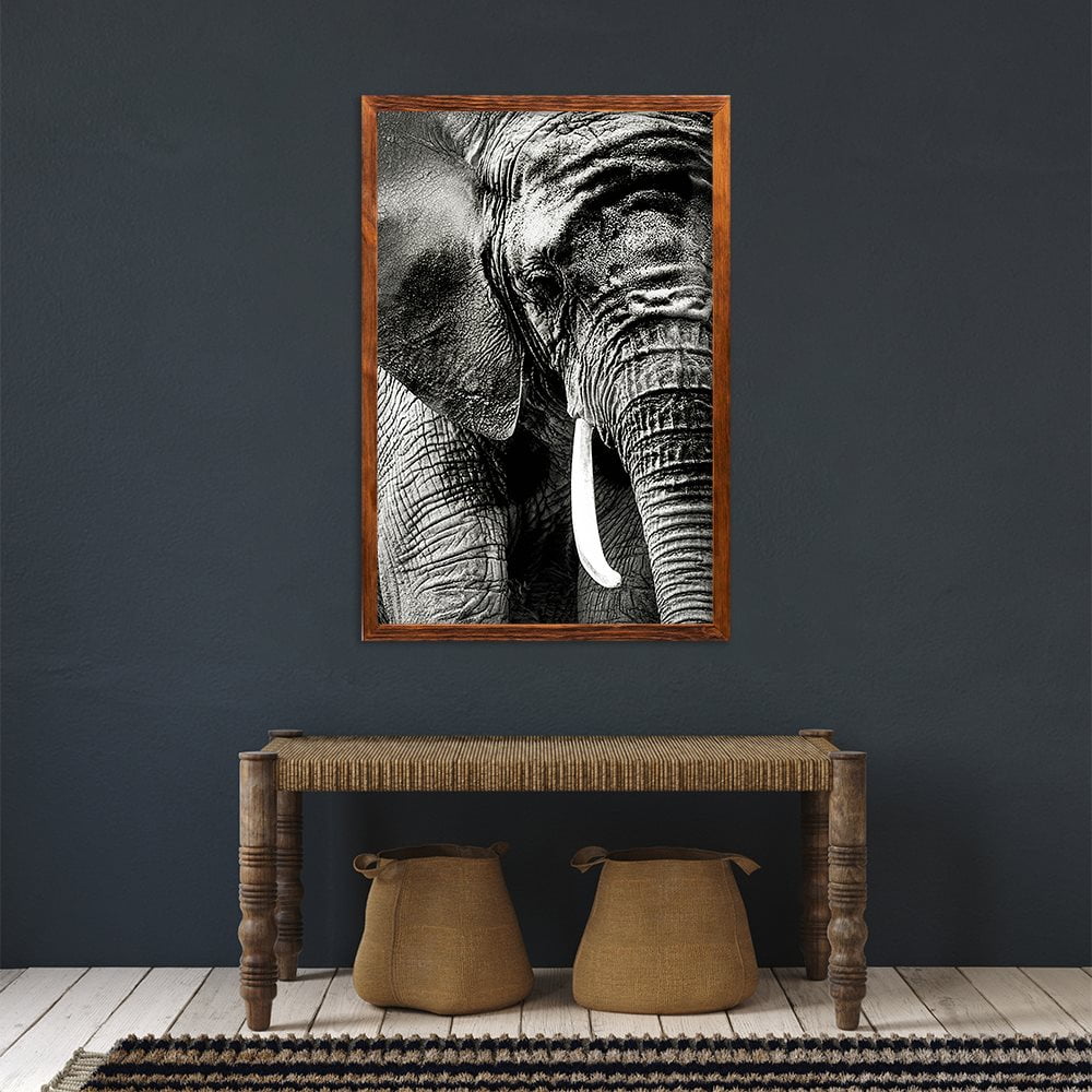 ELEPHANT PORTRAIT