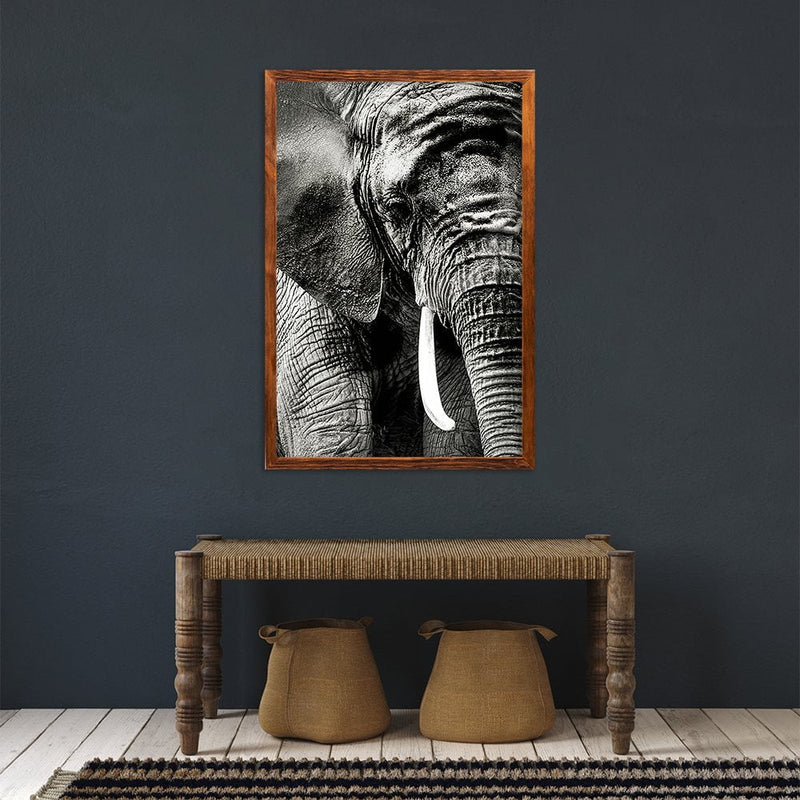 ELEPHANT PORTRAIT