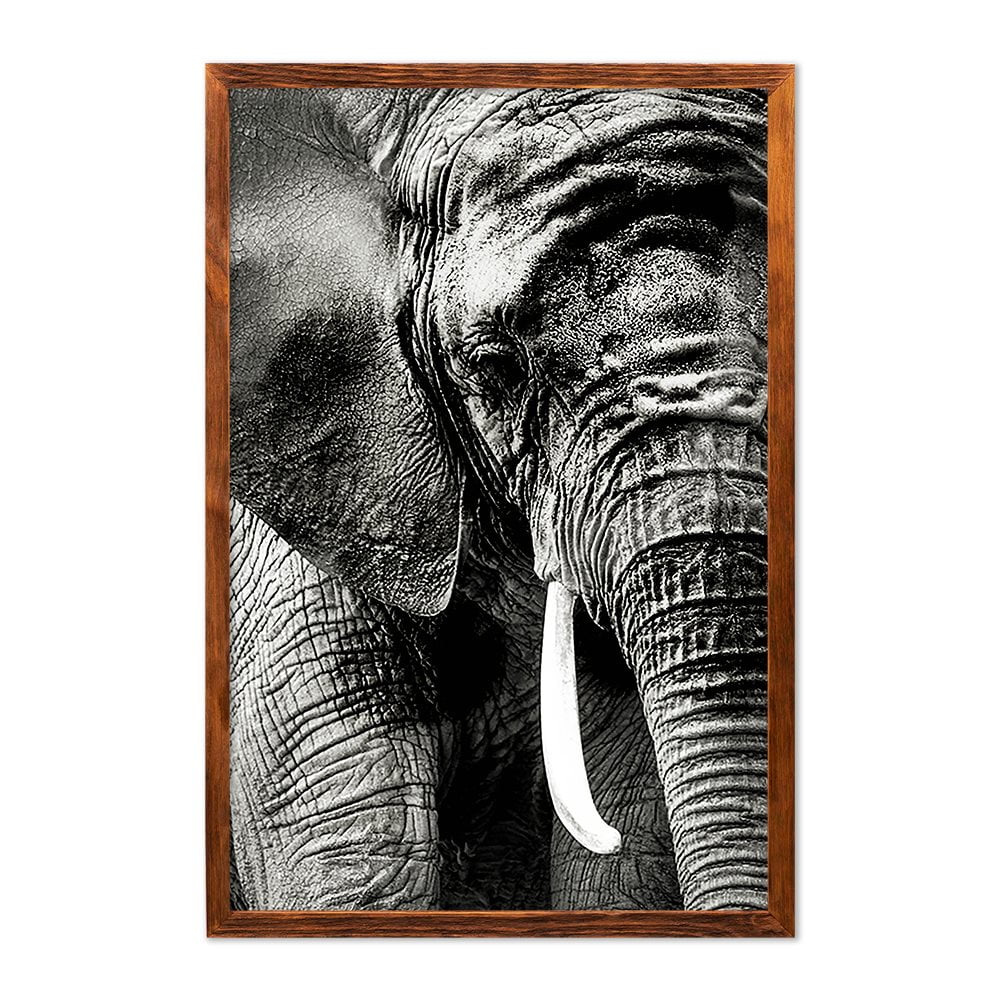 ELEPHANT PORTRAIT