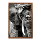 ELEPHANT PORTRAIT