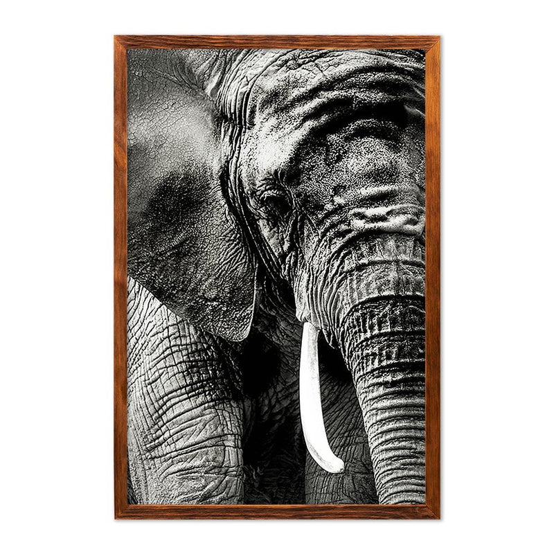 ELEPHANT PORTRAIT