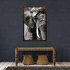 ELEPHANT PORTRAIT