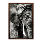 ELEPHANT PORTRAIT