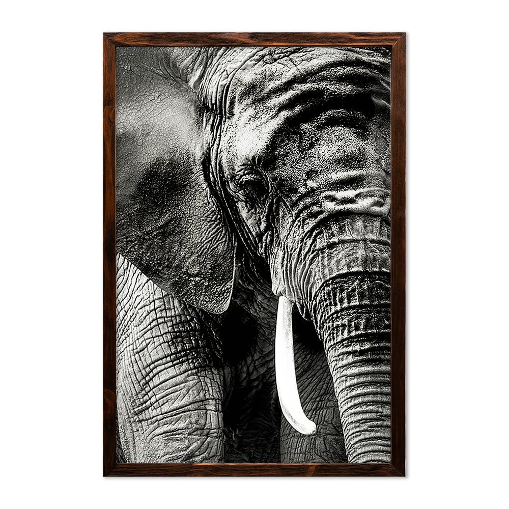 ELEPHANT PORTRAIT