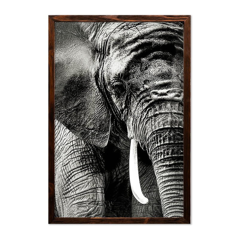 ELEPHANT PORTRAIT
