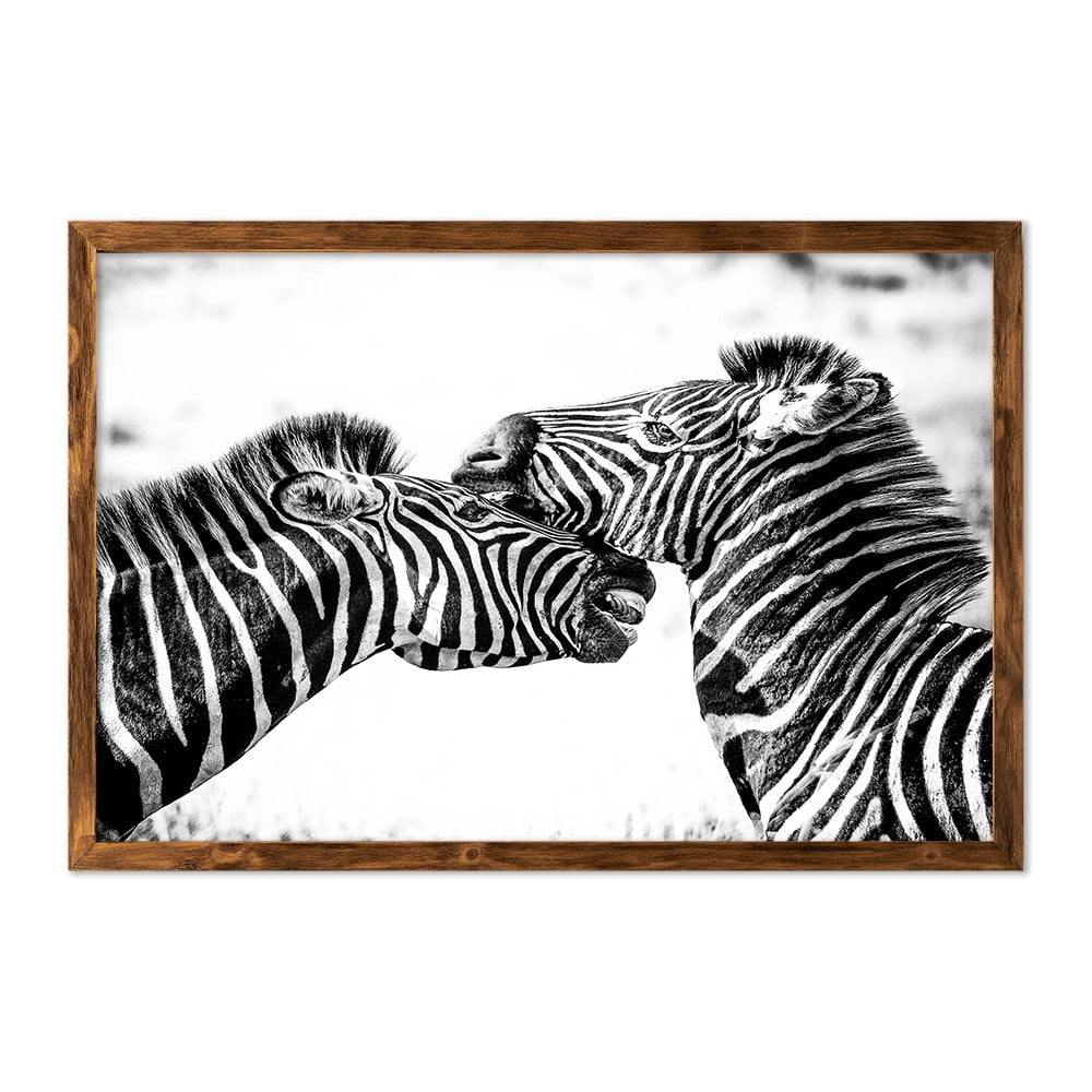 ZEBRAS - 2