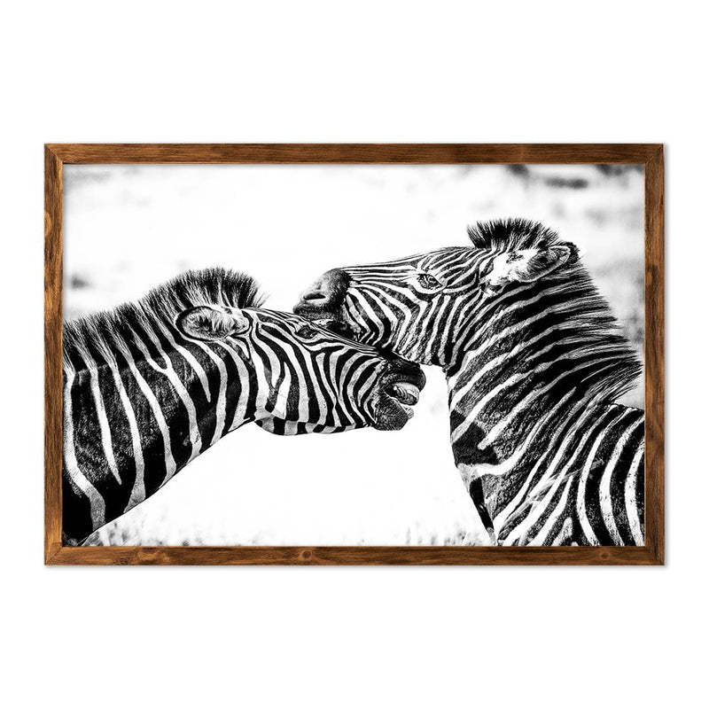 ZEBRAS - 2