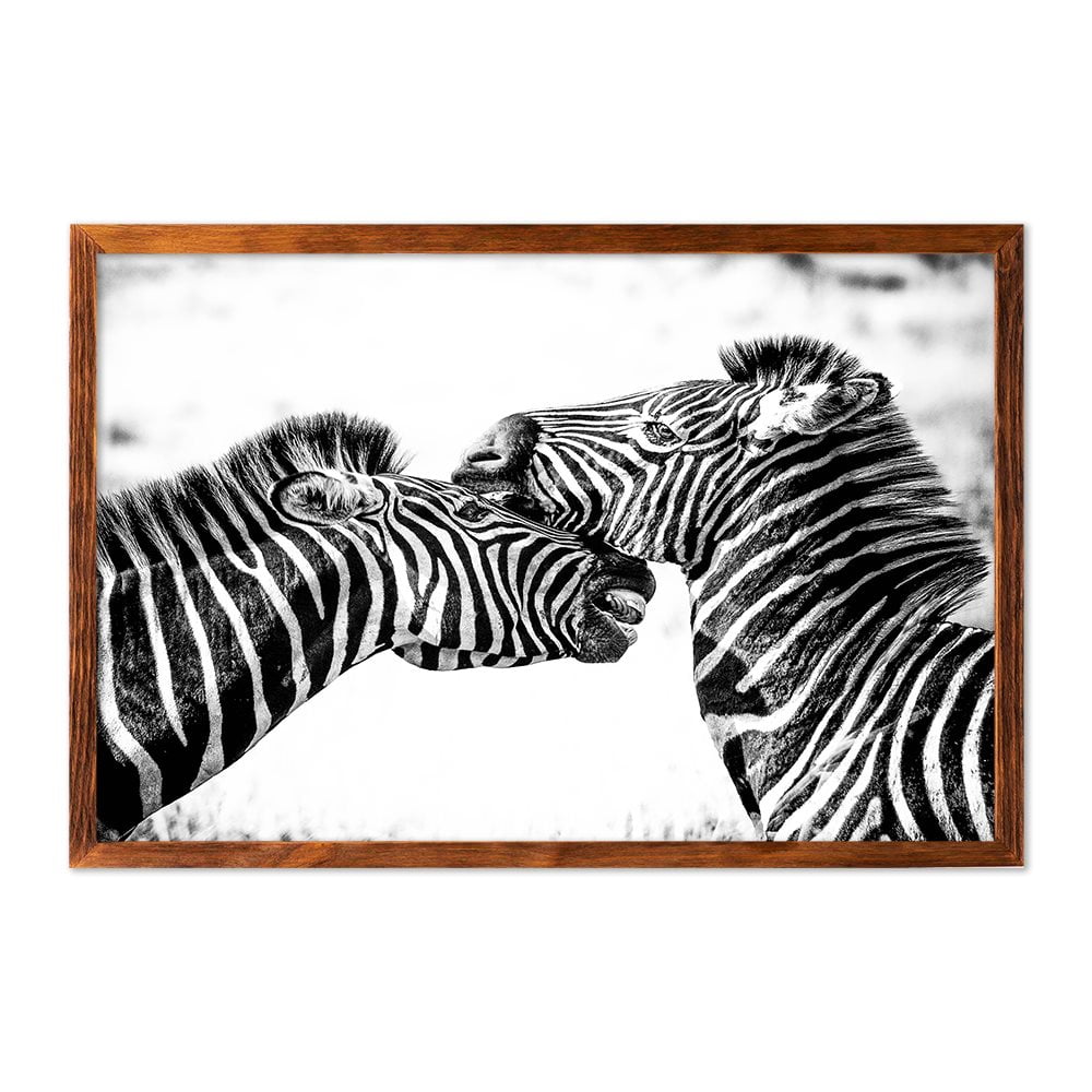ZEBRAS - 2
