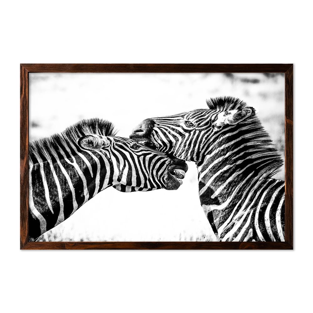 ZEBRAS - 2