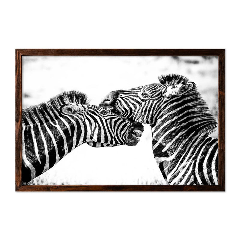 ZEBRAS - 2