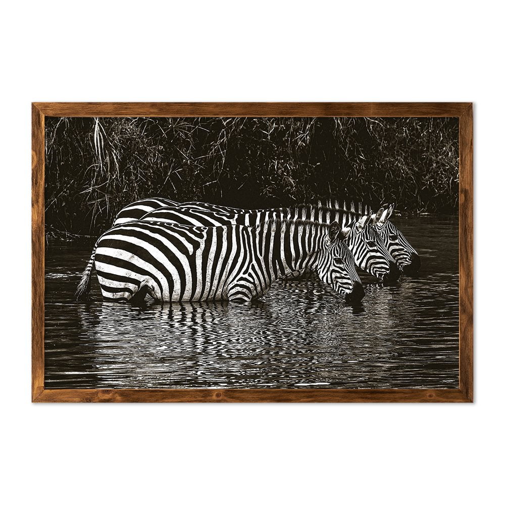 ZEBRAS DRINKING