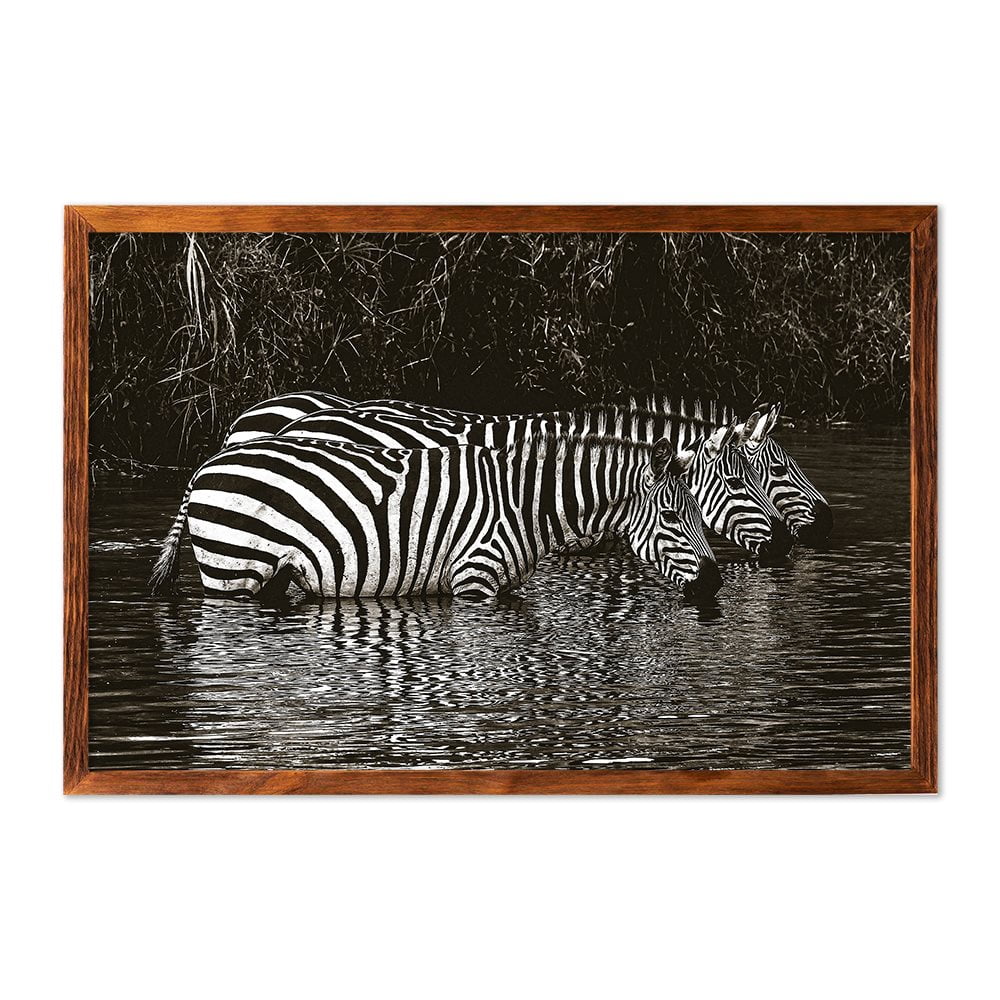ZEBRAS DRINKING