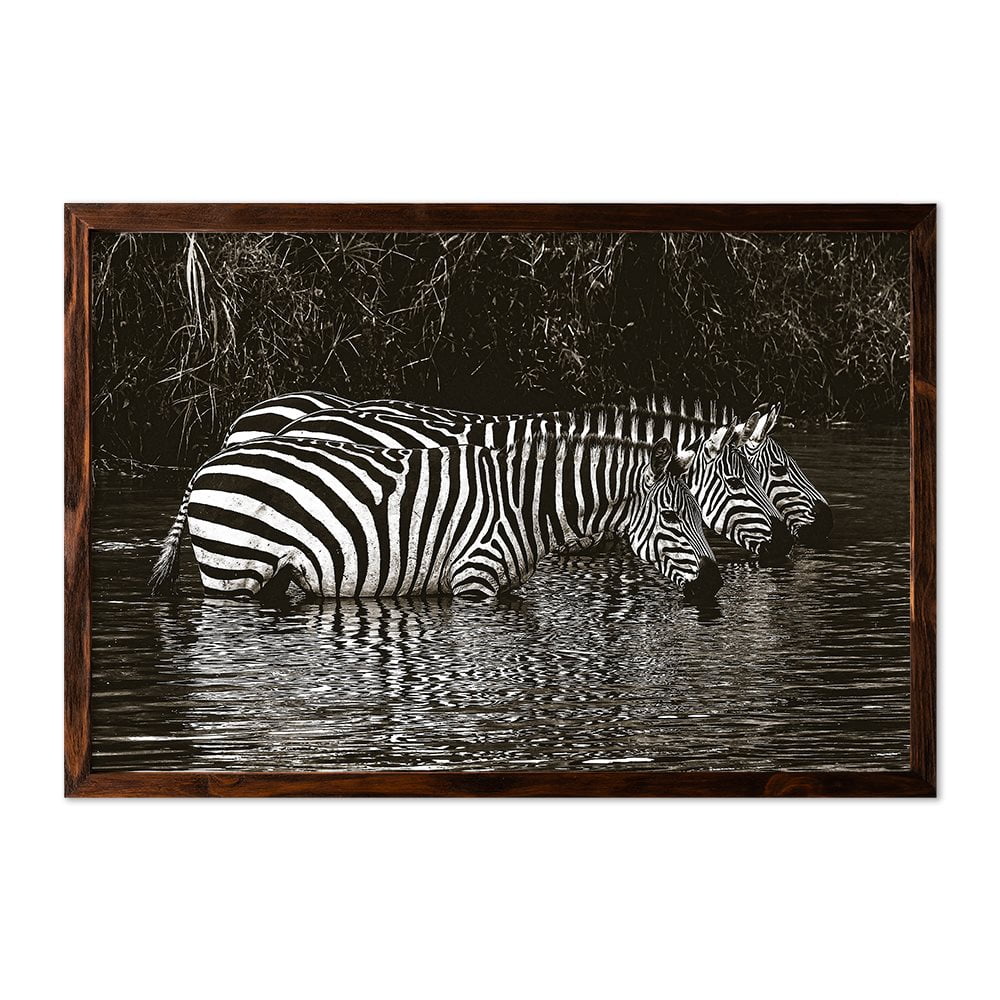 ZEBRAS DRINKING