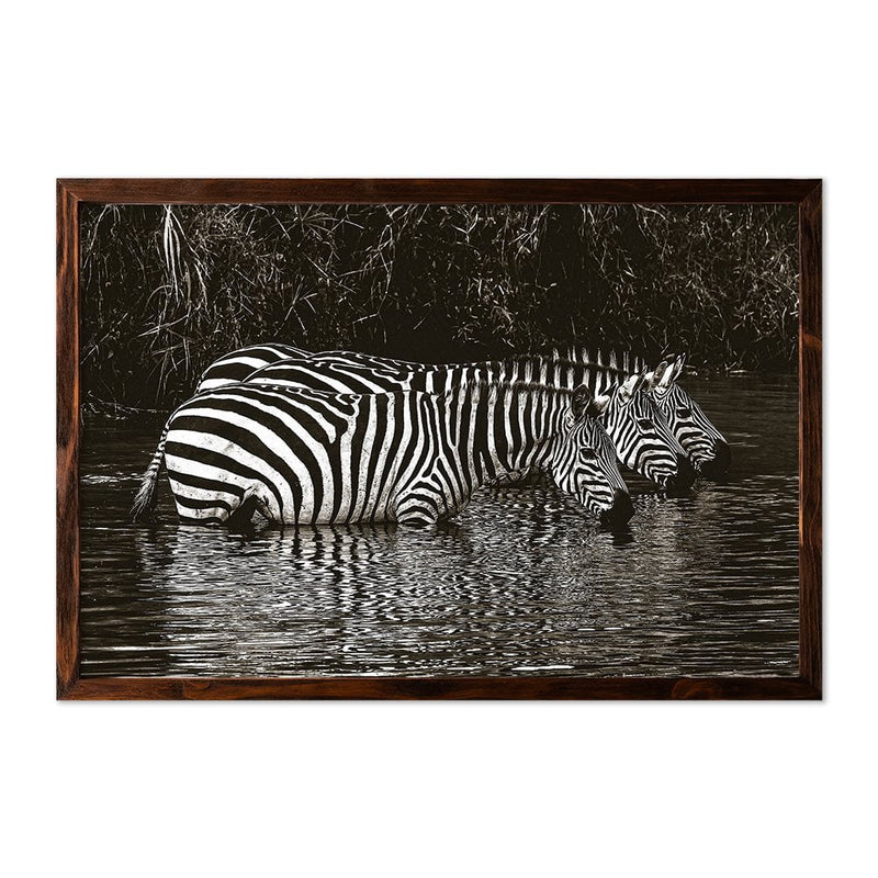 ZEBRAS DRINKING