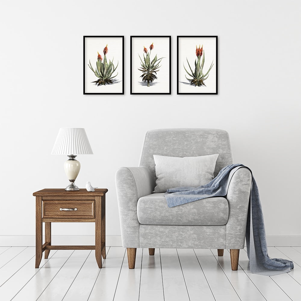 Composite Framed Canvas Collage 35x50 Alwyn Aloe Trio