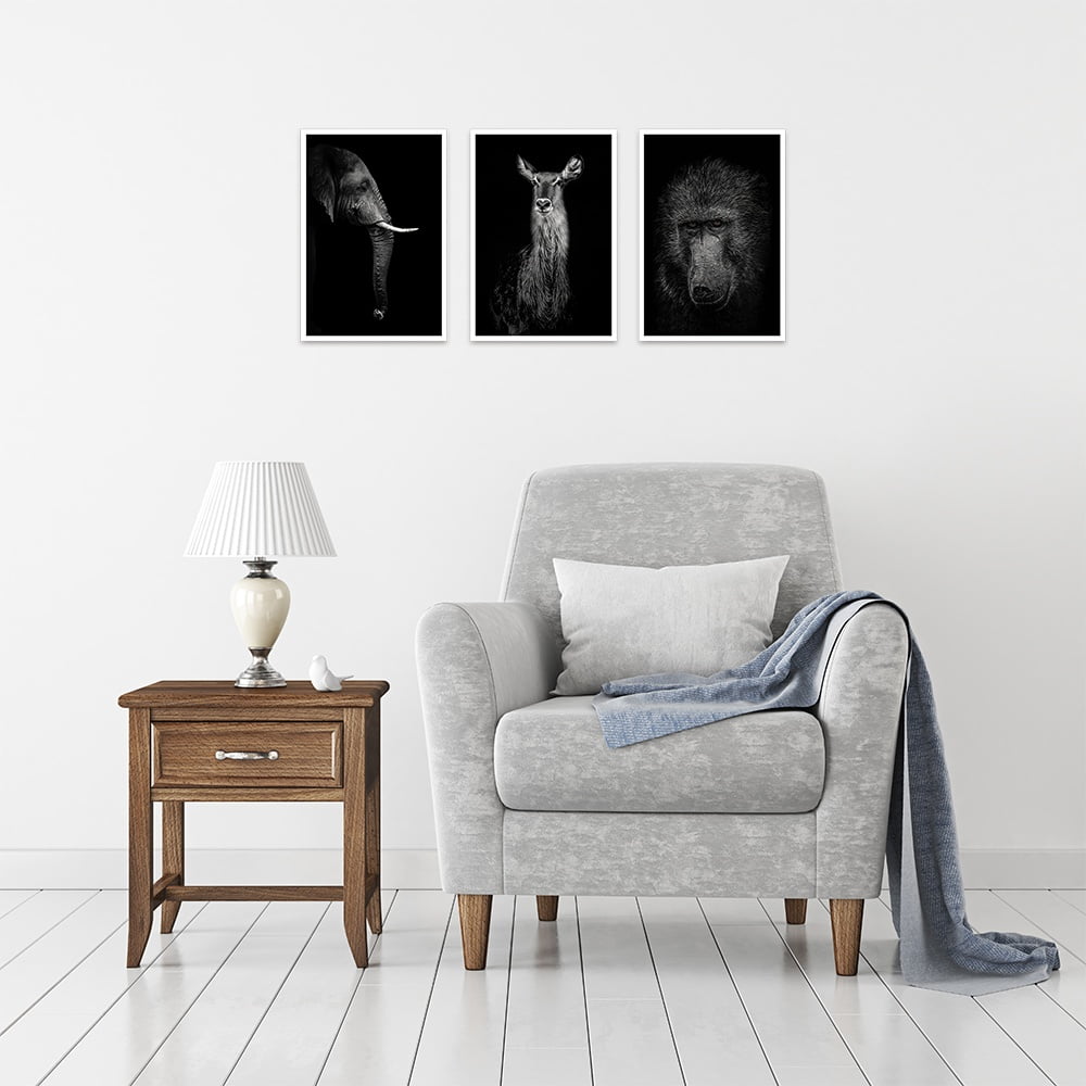 Composite Framed Canvas Collage 35x50 Wild Life Black & White