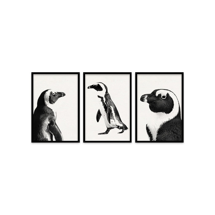 Composite Framed Canvas 3pce 40x60 PENGUIN