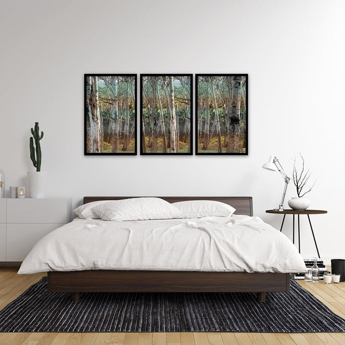 Composite Framed Canvas 3pce 40x60 Forest Fantacy colours