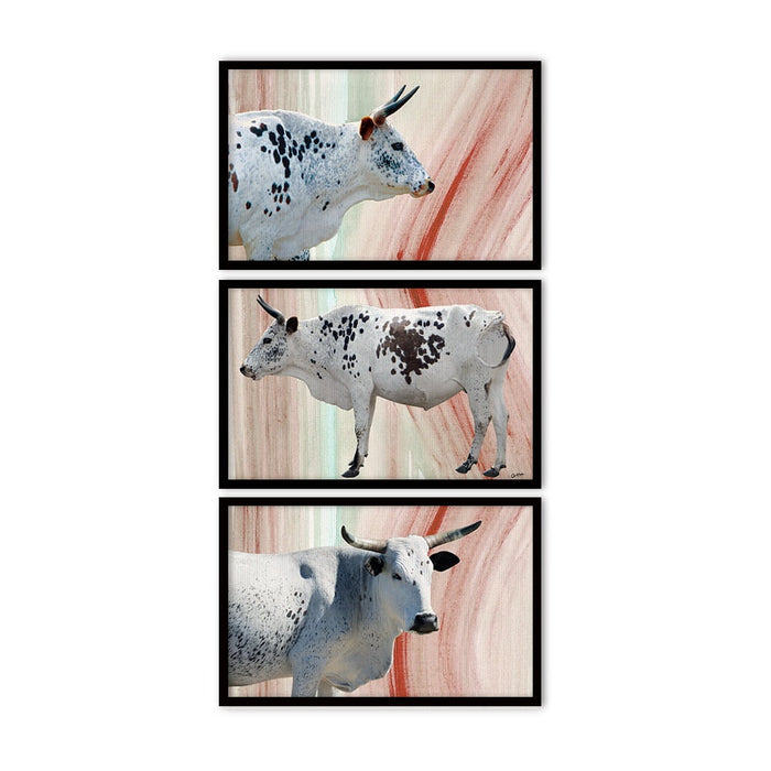 Composite Framed Canvas 3pce 40x60 Nguni Cows