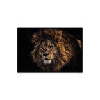Composite Framed Canvas 50x75 African Lion