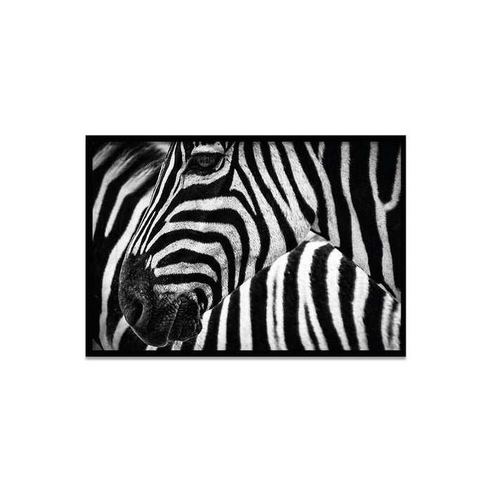 Composite Framed Canvas 50x75 Zebras