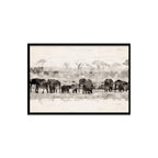 Composite Framed Canvas 50x75 Elephants