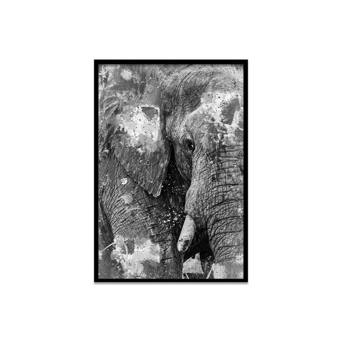 Composite Framed Canvas 50X75 ELEPHANT PAINT