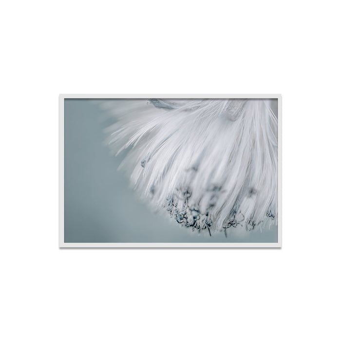 Composite Framed Canvas 50X75 SOFT AND WISPY