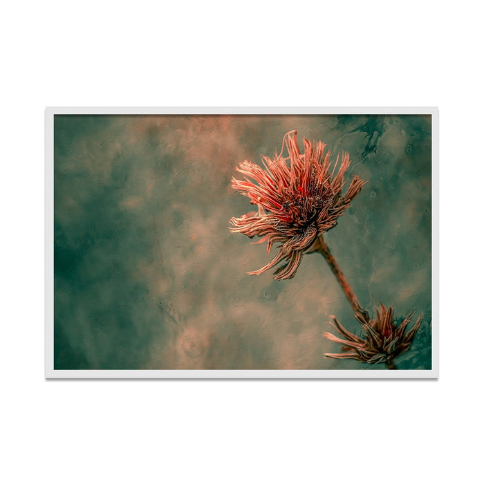 Composite Framed Canvas 50X75 DRY FLOWER