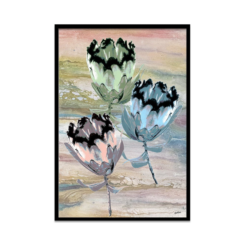 Composite Framed Canvas 50x75 Modern Proteas