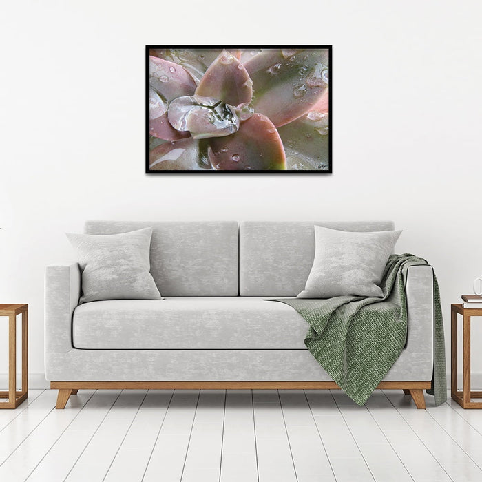 Composite Framed Canvas 50x75 Water on Leaves