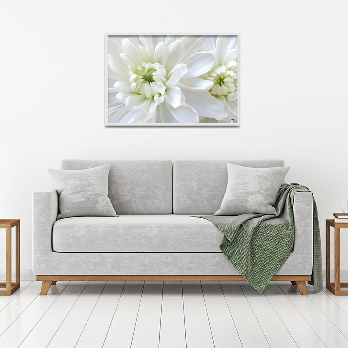 Composite Framed Canvas 50x75 White Flowers