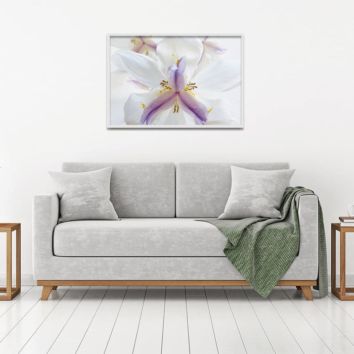 Composite Framed Canvas 50x75 White Lilies