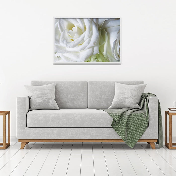 Composite Framed Canvas 50x75 White Roses