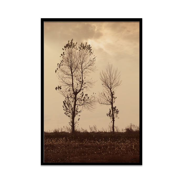 Composite Framed Canvas 50x75 Cloudy trees