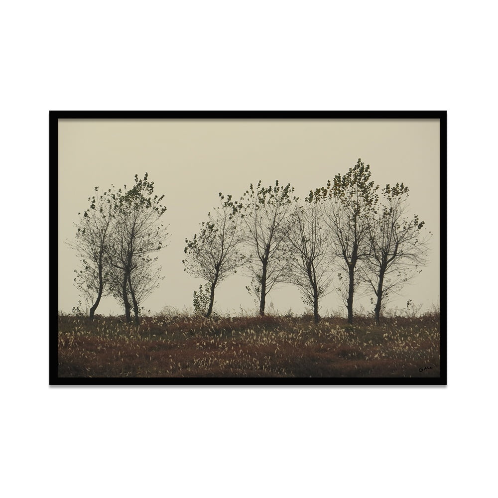 Composite Framed Canvas 50x75 Trees and Grass Seed