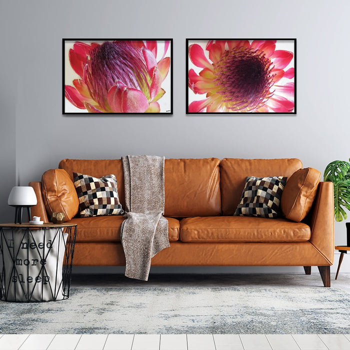 Composite Framed Canvas 50x75 Close-up Pink Protea 2