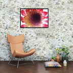 Composite Framed Canvas 50x75 Close-up Pink Protea 2