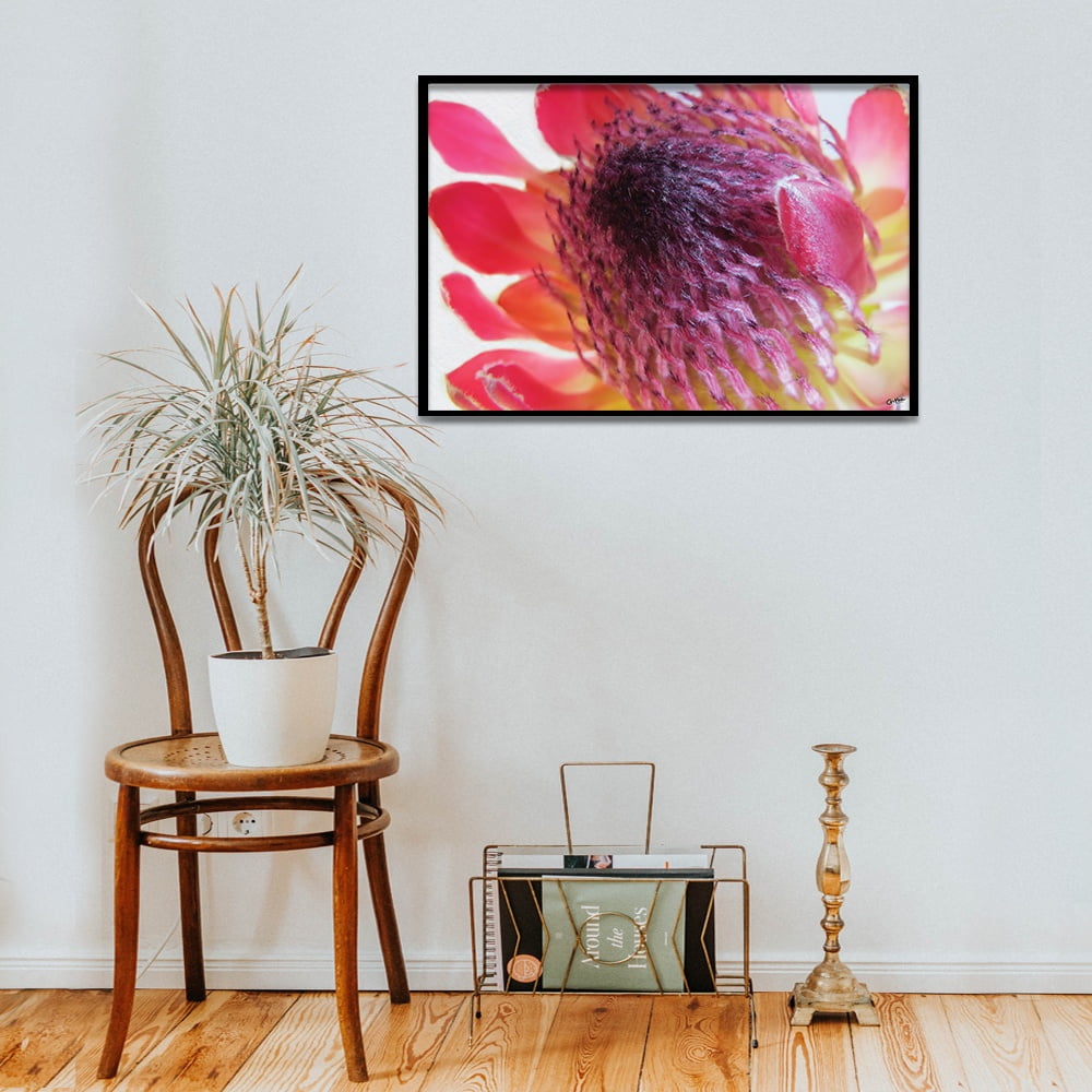 Composite Framed Canvas 50x75 Close-up Pink Protea 4