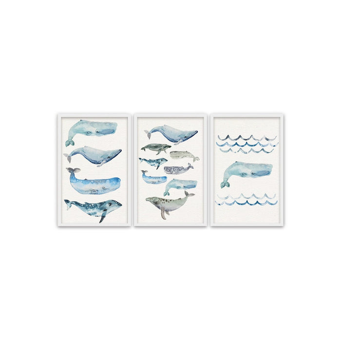 Composite Framed Canvas 3pce 65x45 Blue Whales