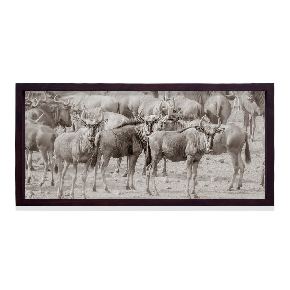 Composite Framed Canvas 77x150 WILDEBEEST IN DUST