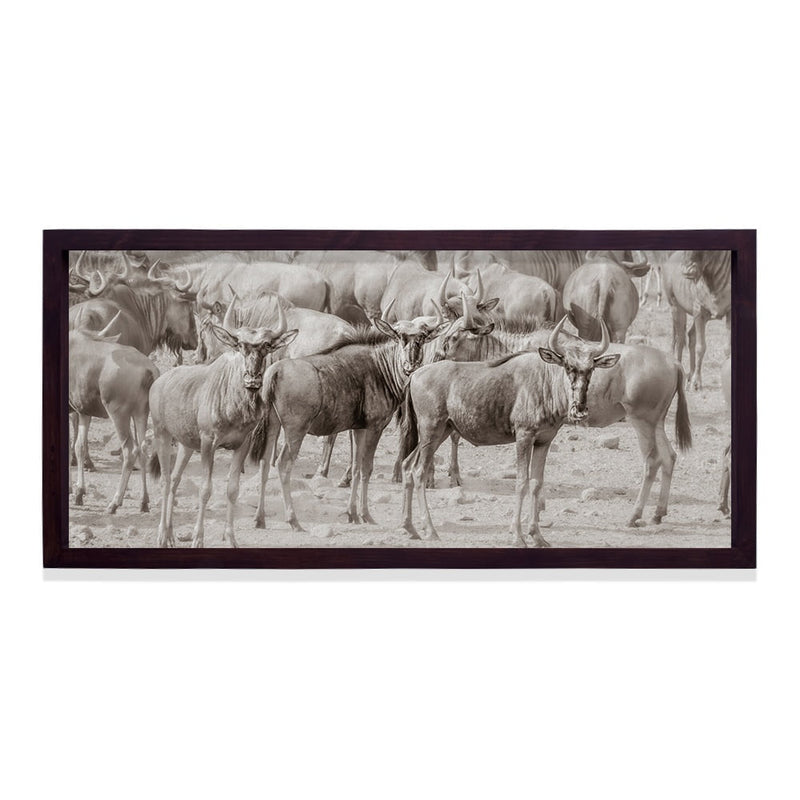 Composite Framed Canvas 77x150 WILDEBEEST IN DUST