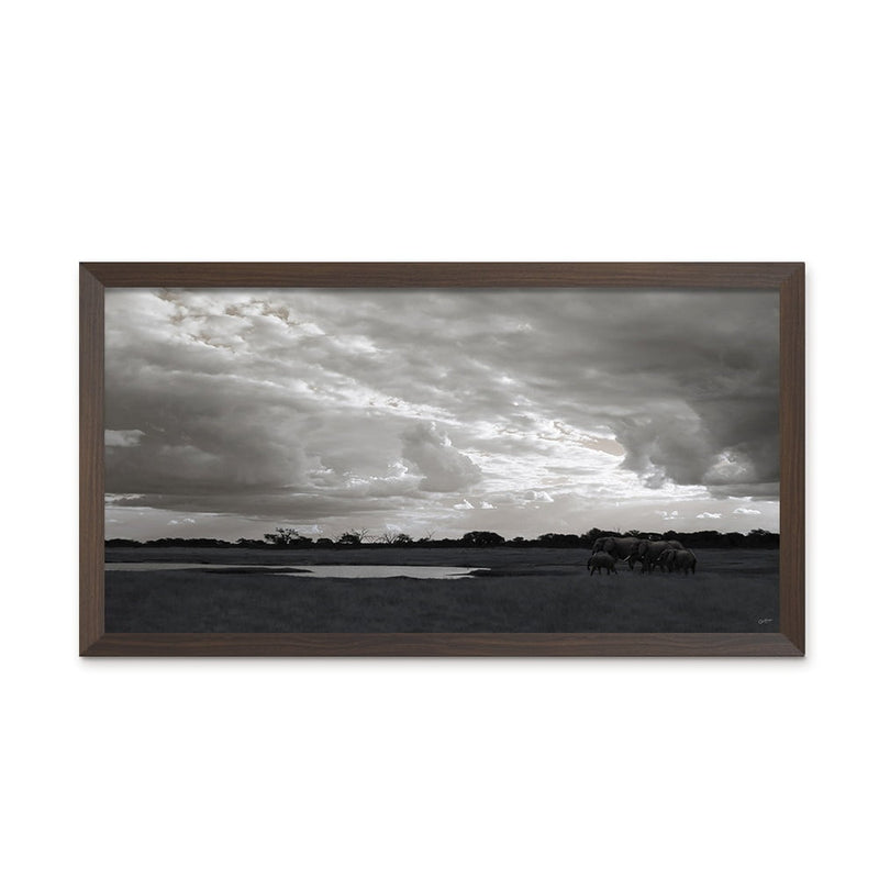 Composite Framed Canvas 77x150 Elephants in the Storm