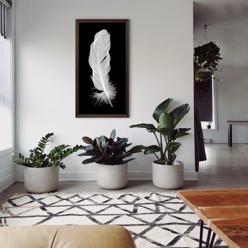 Composite Framed Canvas 77x150 White Feather