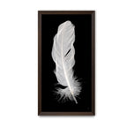 Composite Framed Canvas 77x150 White Feather