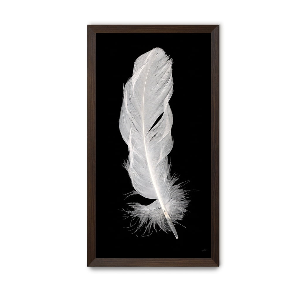 Composite Framed Canvas 77x150 White Feather