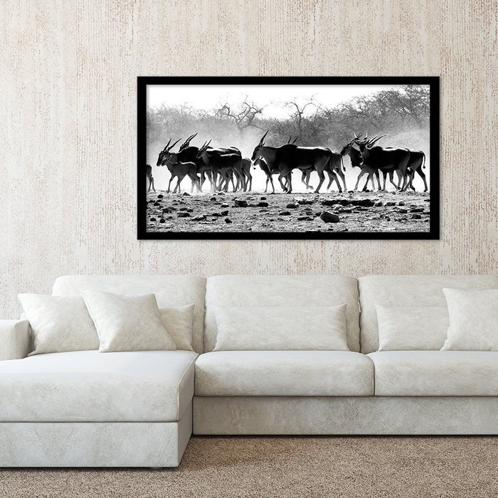 ELAND HERD