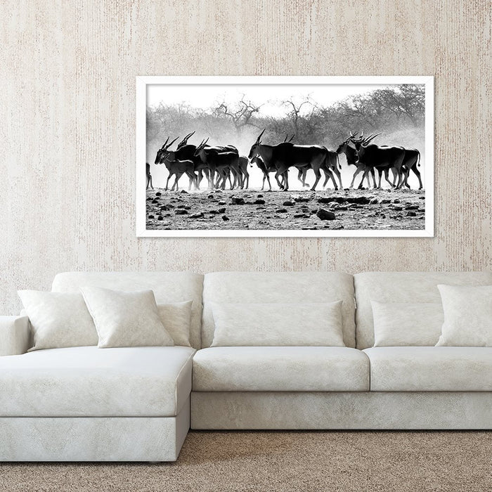 ELAND HERD